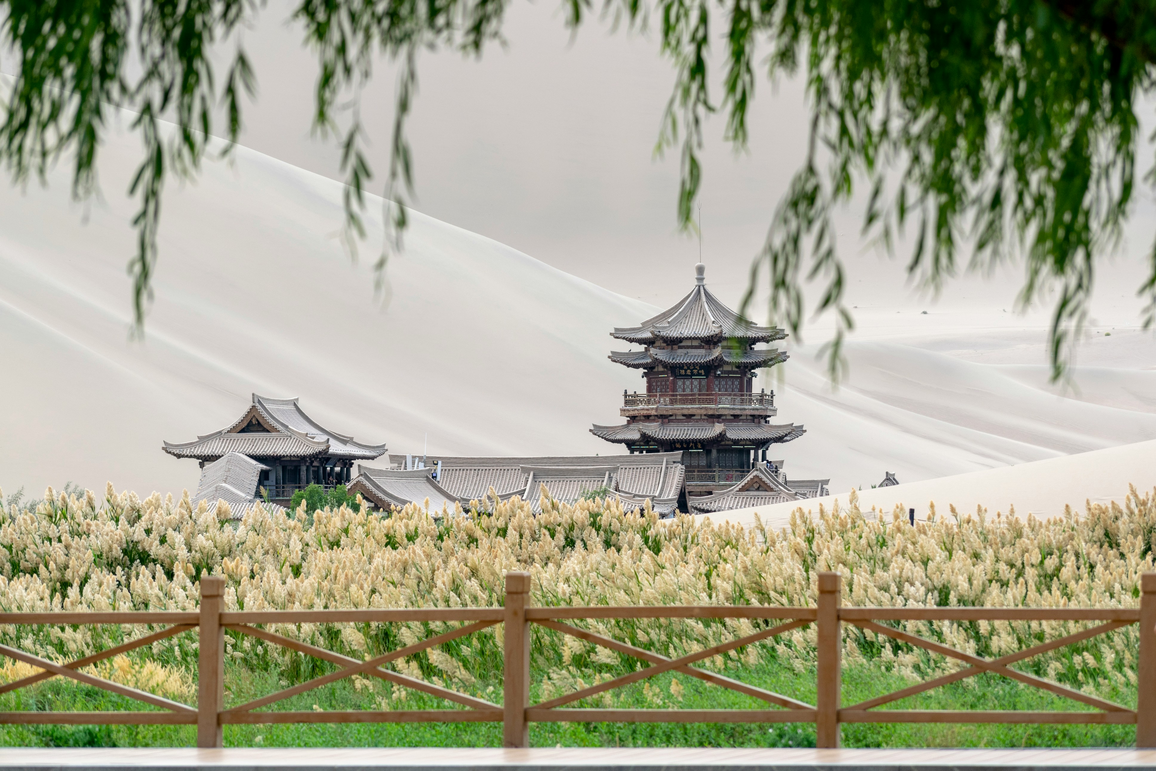 敦煌沙漠
