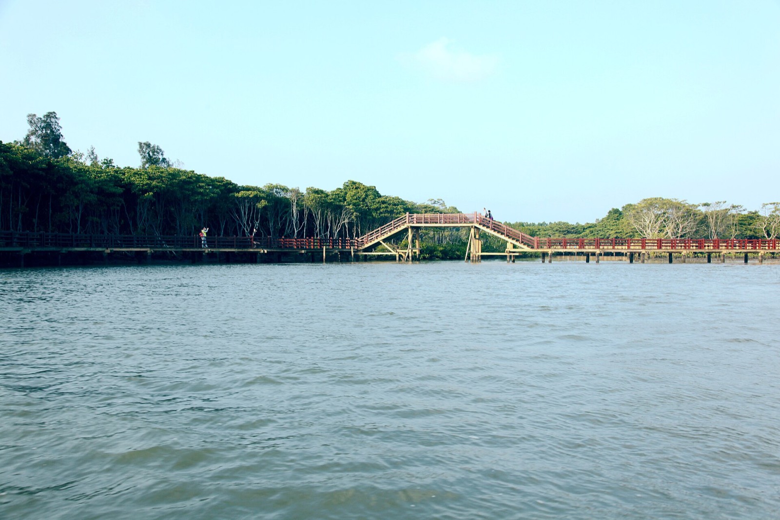 红树林湿地栈道